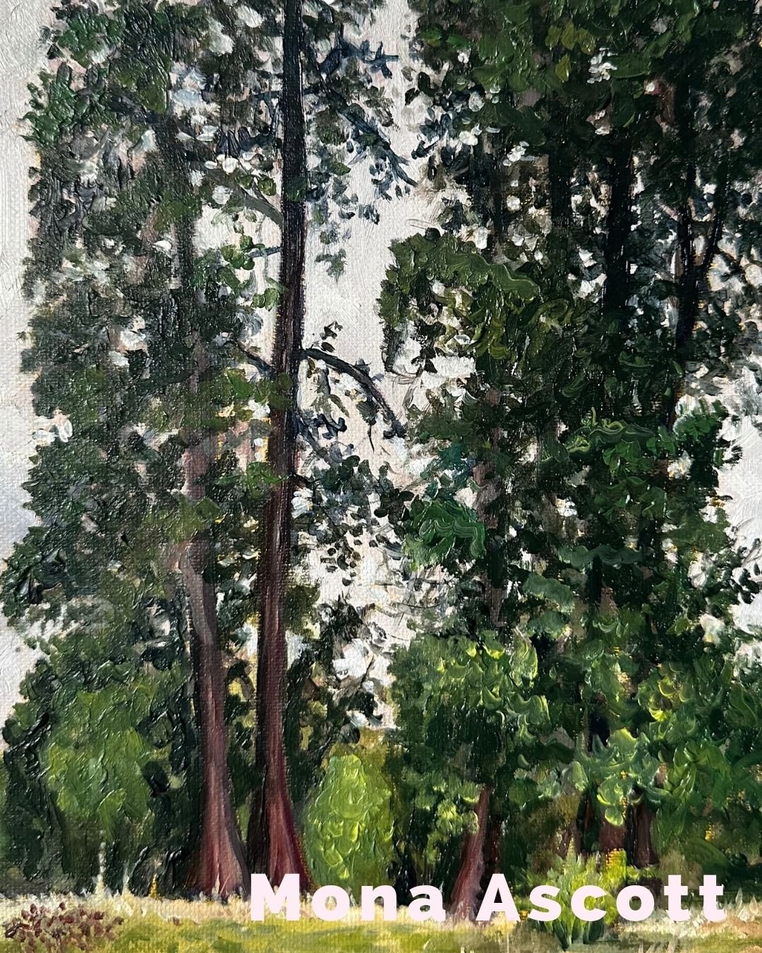 Mona Ascott