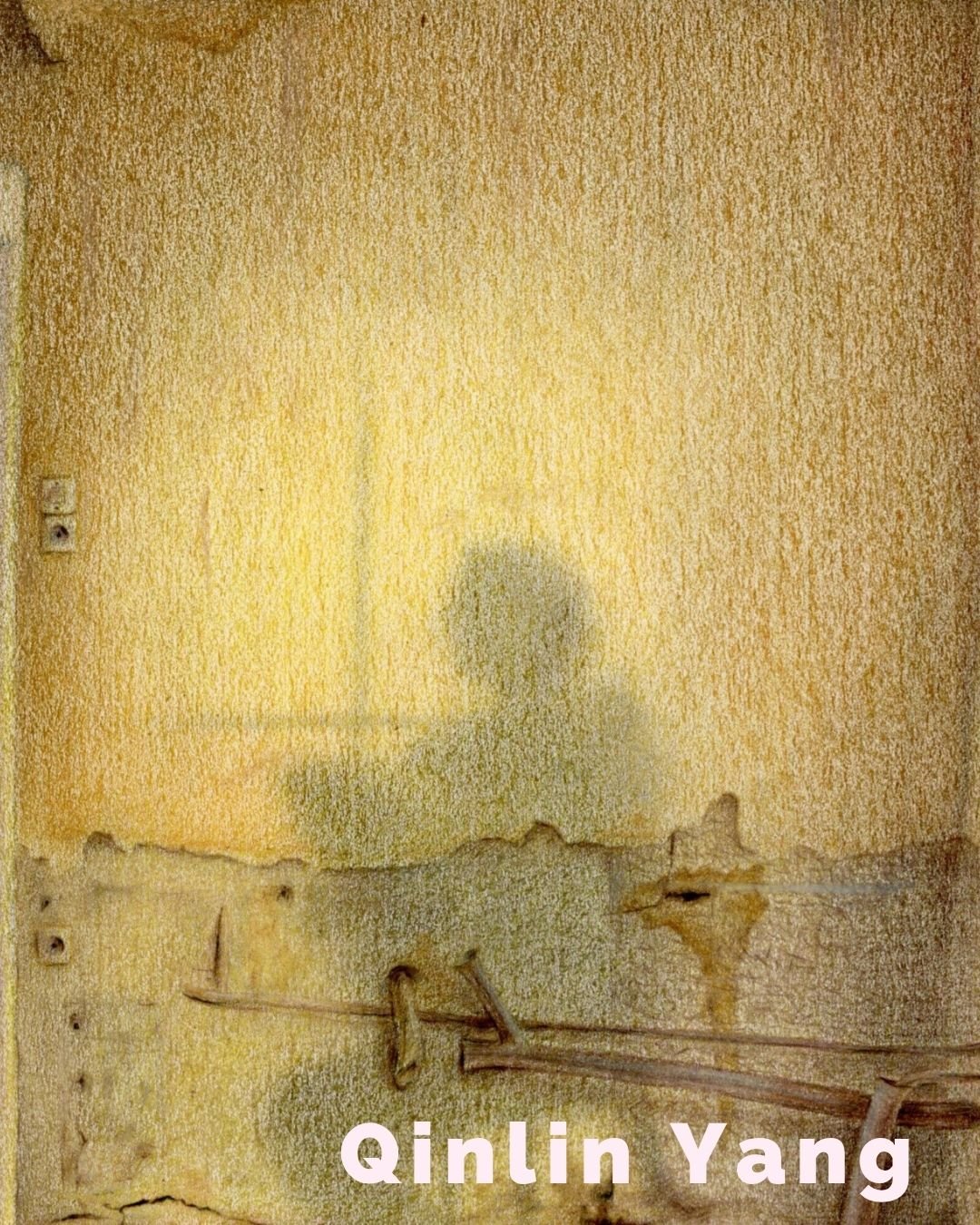Qinlin Yang